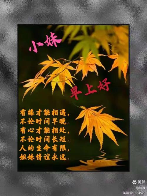情相牵 谊缠绵